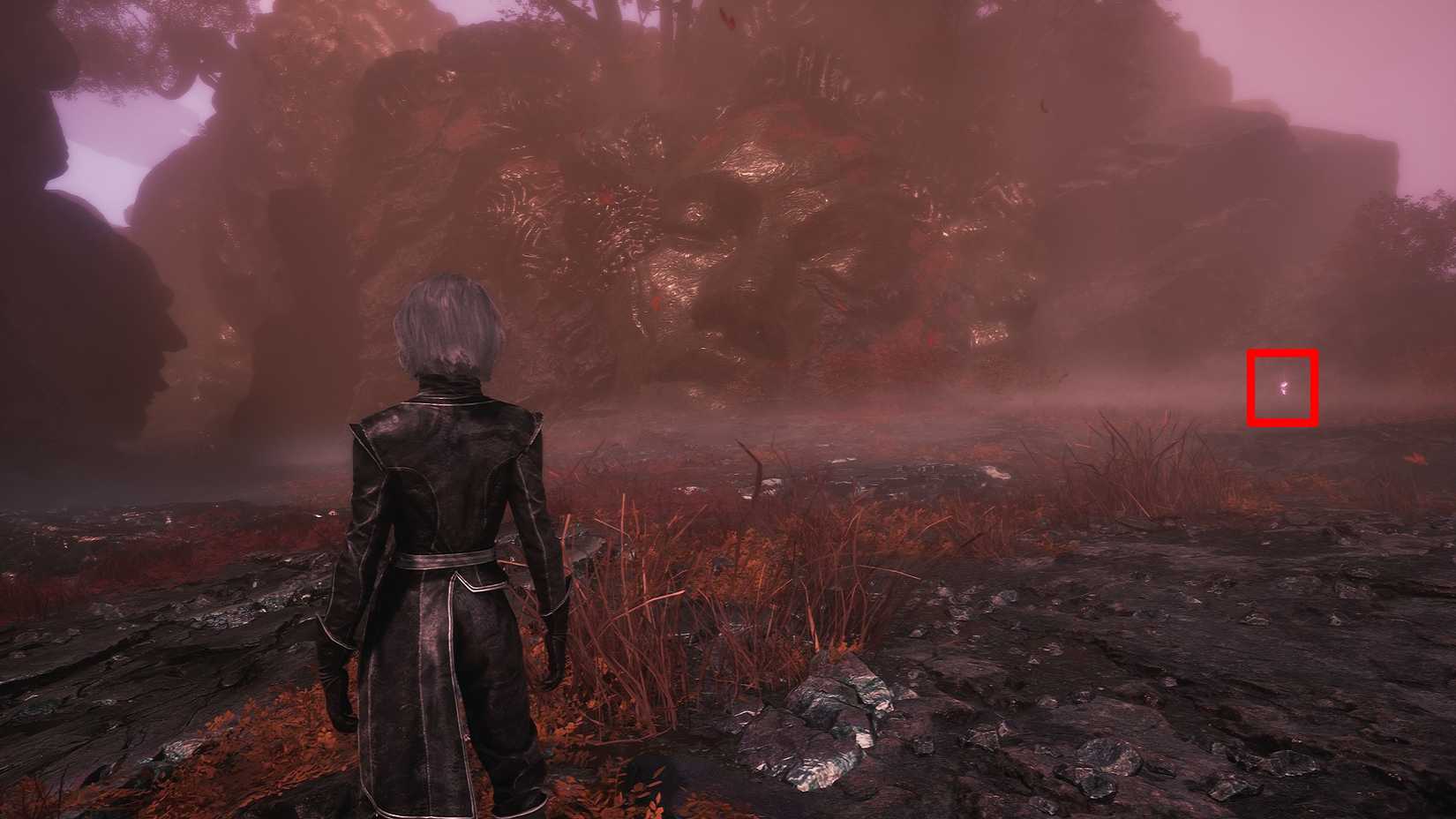 clair obscur expedition 33 visages walkthrough