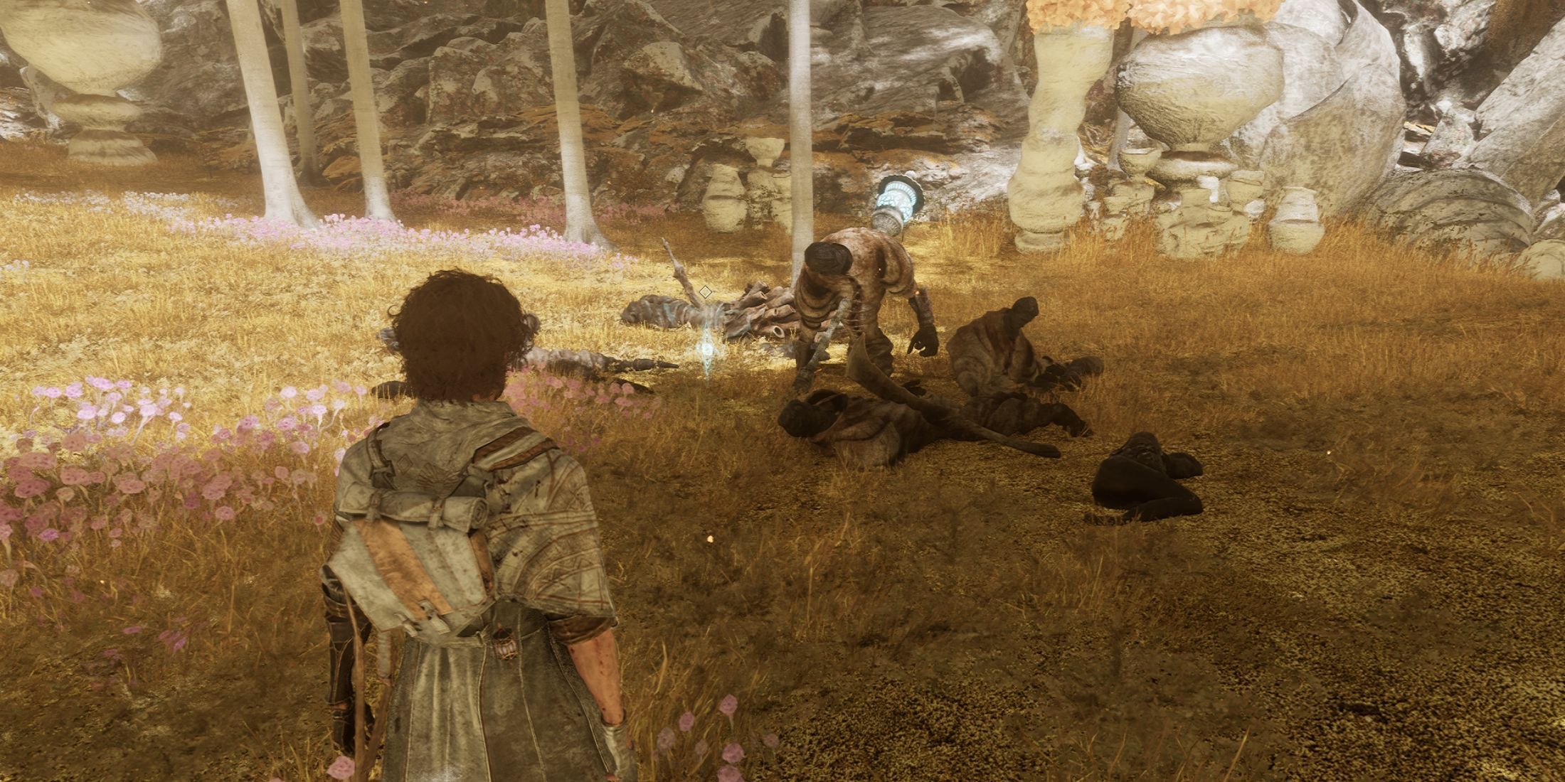 clair-obscur-expedition-33-yellow-harvest-harvester's-hollow-expedition-journal-44
