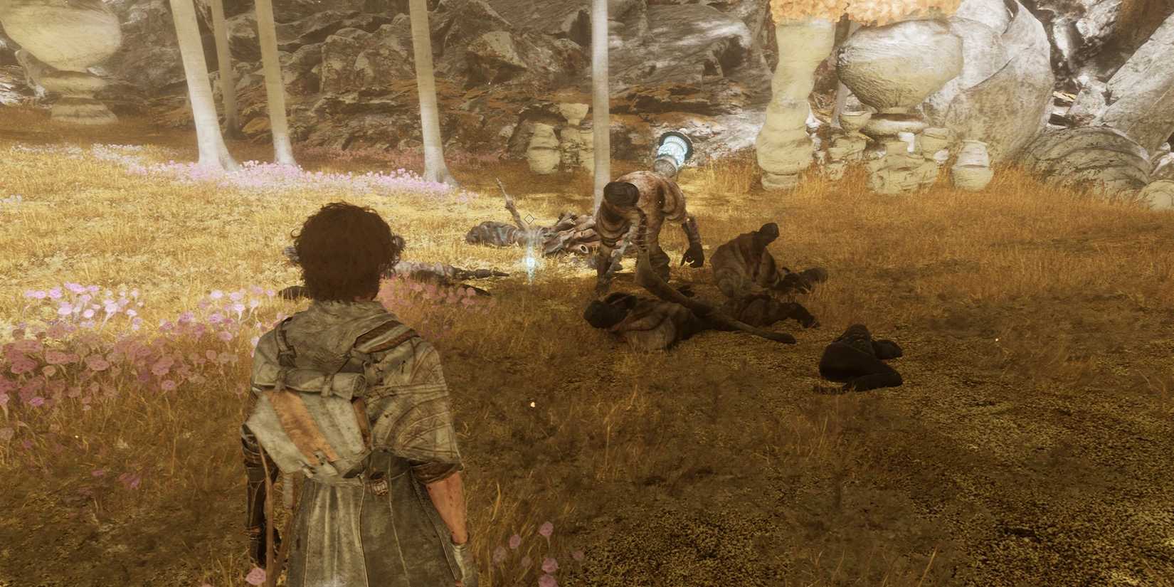 clair-obscur-expedition-33-yellow-harvest-harvester's-hollow-expedition-journal-44