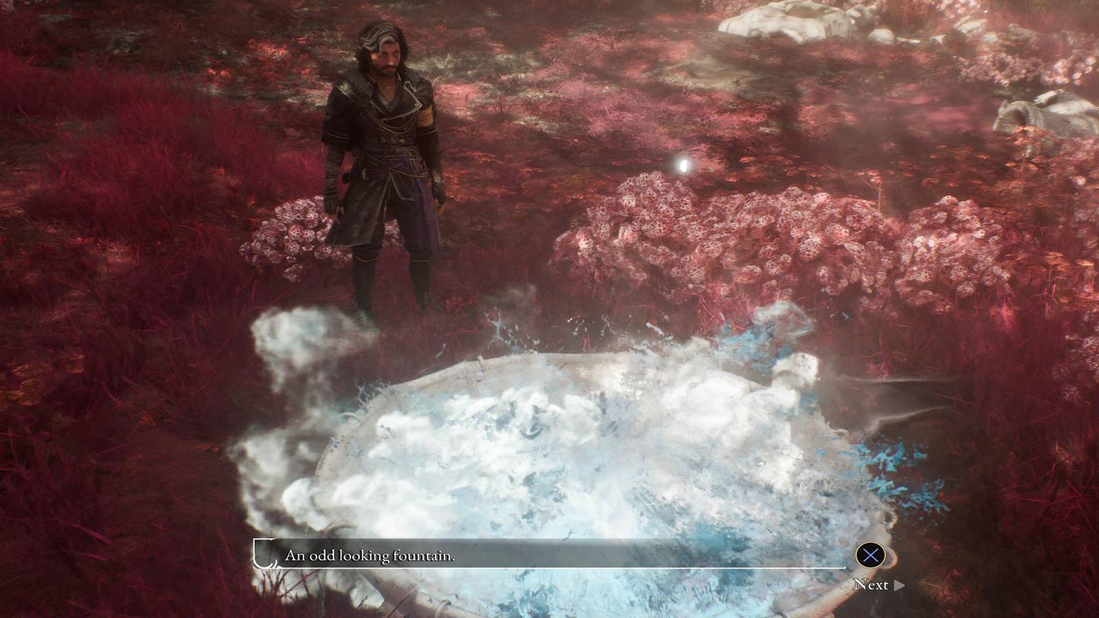 Verso Standing Over The Odd Fountain 