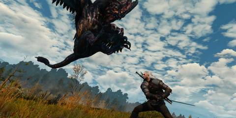 cockatrice the witcher 3