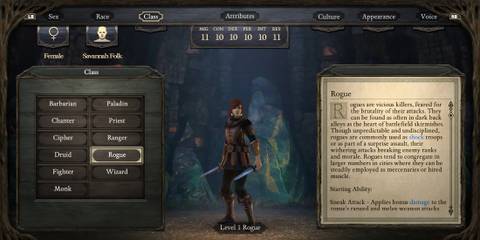 Creating a character in Pillars Of Eternity