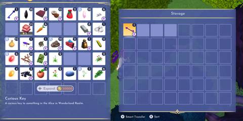 Curious Key in Disney Dreamlight Valley