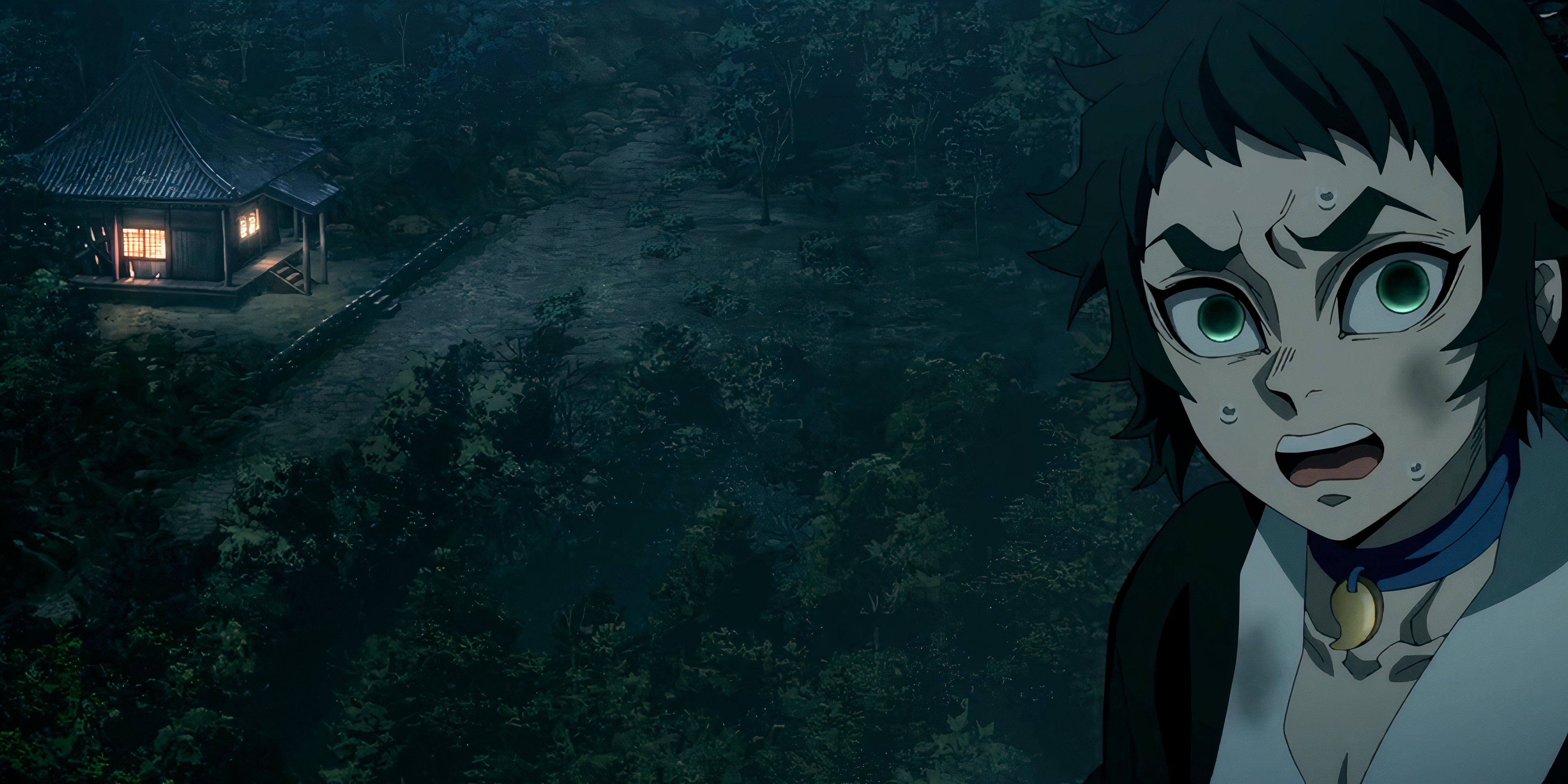 The Best Episodes Of Demon Slayer's Hashira Training Arc