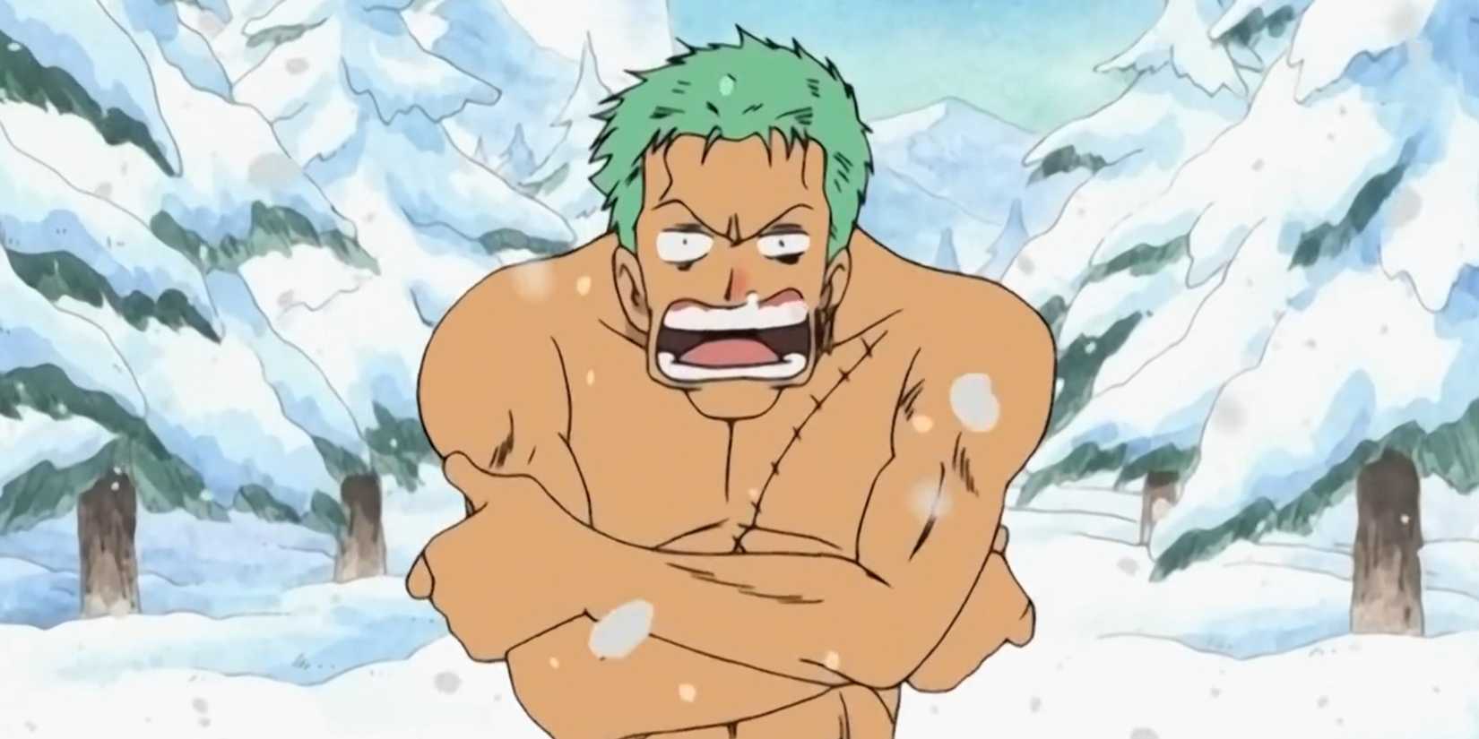 Drum Island Zoro One Piece