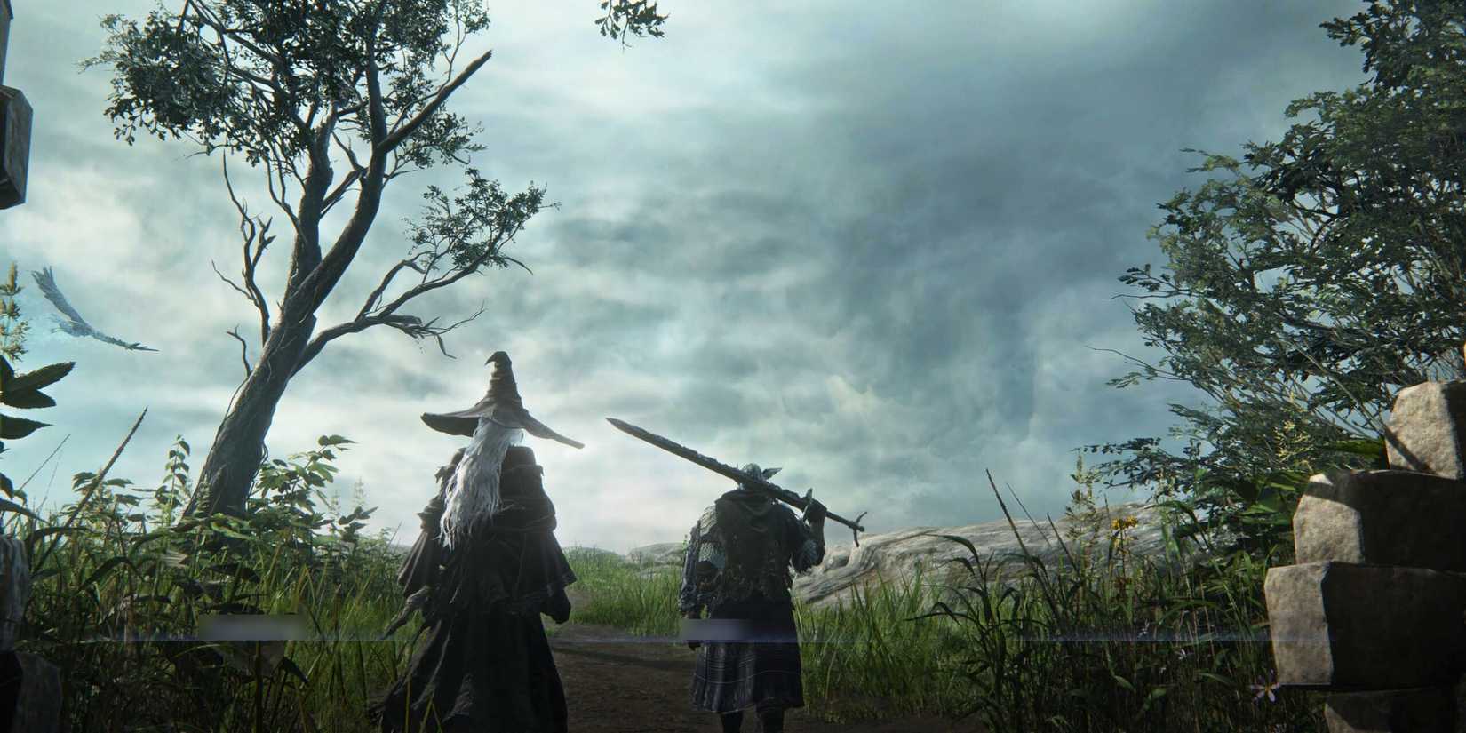 Duos Session Started Elden Ring Nightreign