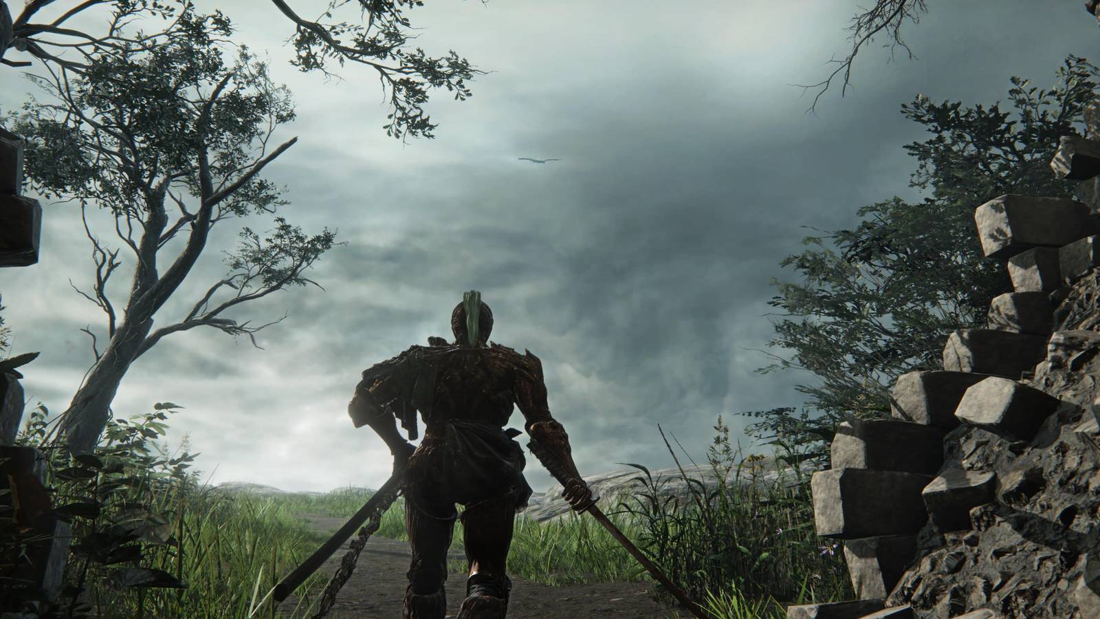 An Executor Going On An Expedition Alone