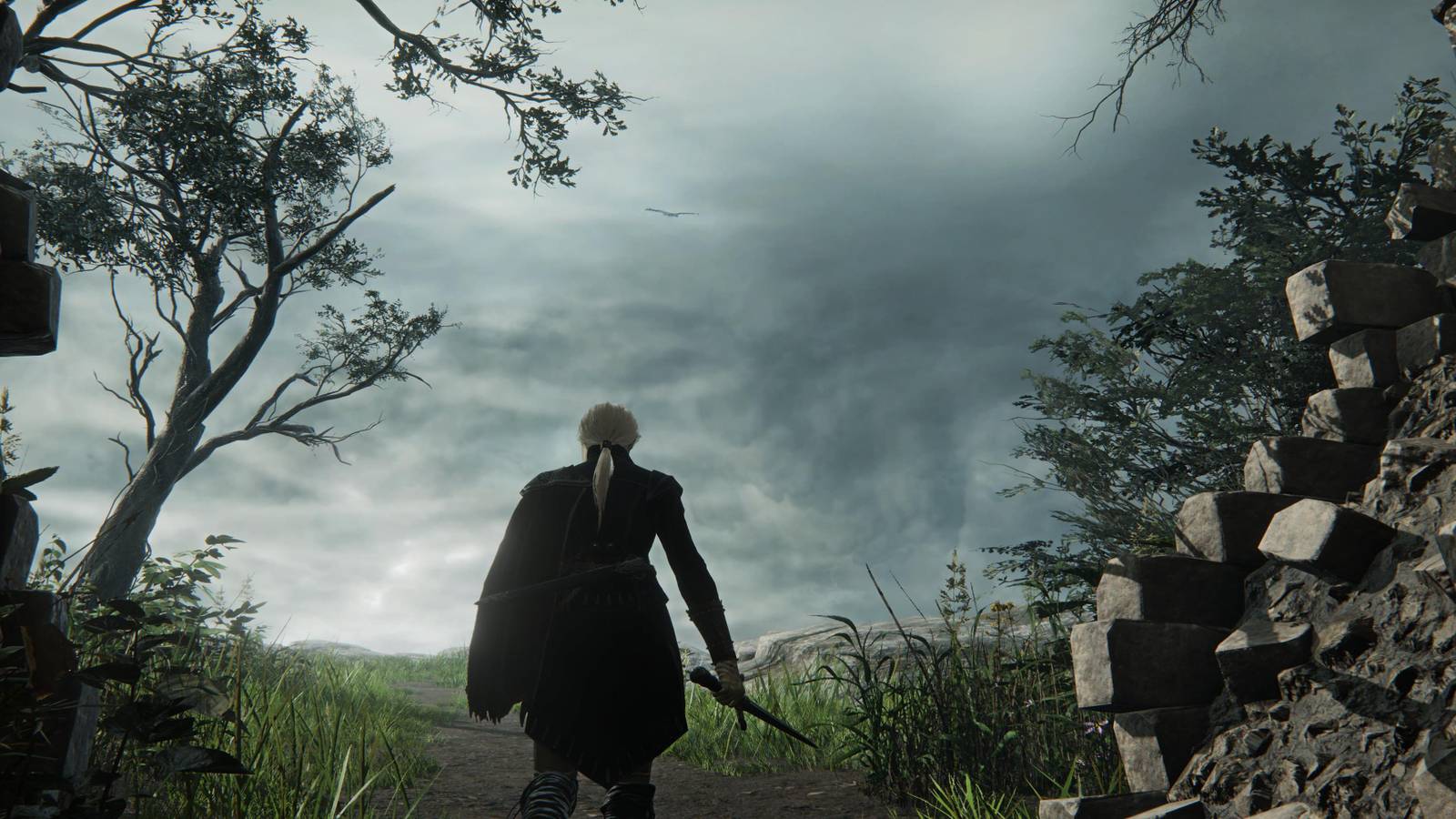 A Duchess Going Out On An Expedition Alone 