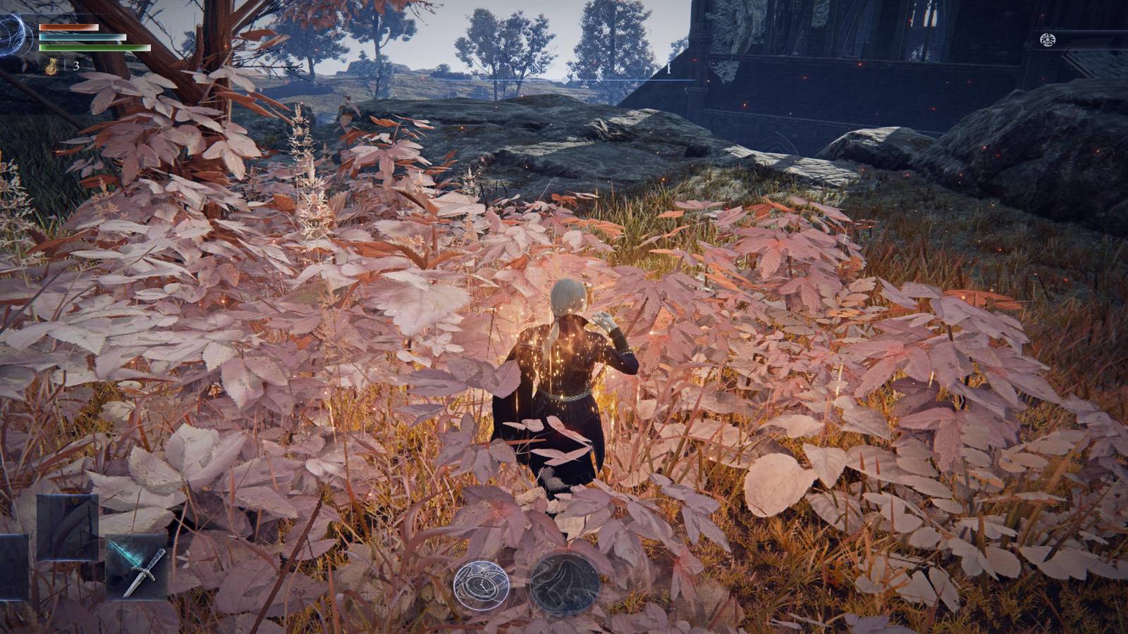 A Duchess Using An HP Restoration Plant