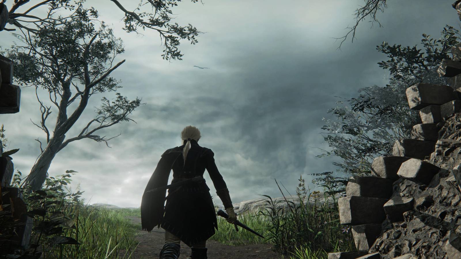 A Duchess Going On An Expedition 