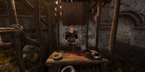 erwin in tainted grail the fall of avalon