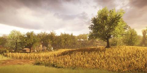 A tranquil scene of a sunlit field with a large oak tree