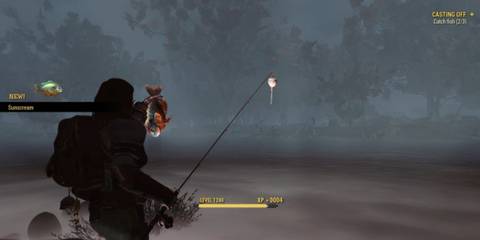 Fallout 76 Player Fishing Feature Update Gameplay Screenshot 2