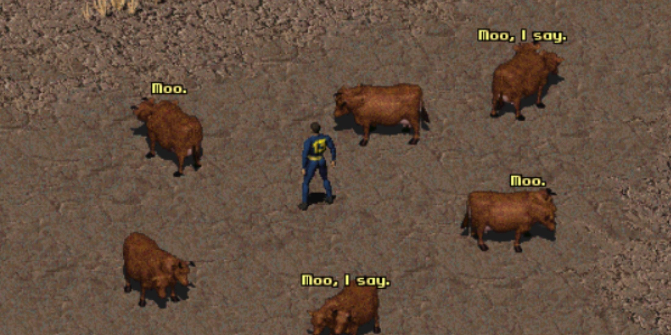 Fallout Brahmin