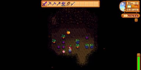 farm cave fruit bats stardew valley