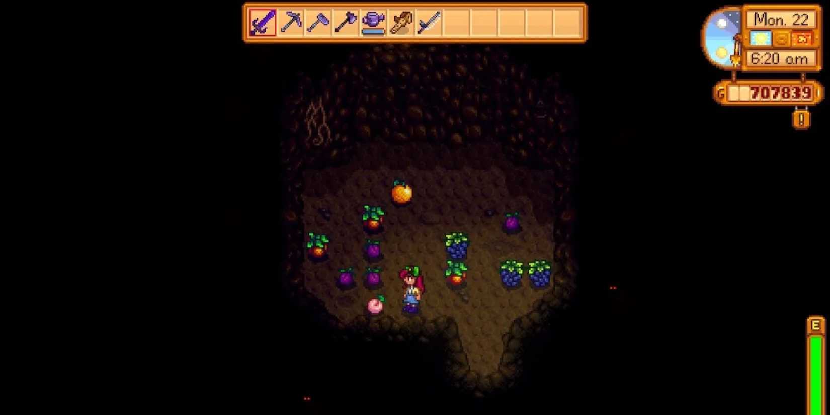 farm cave fruit bats stardew valley