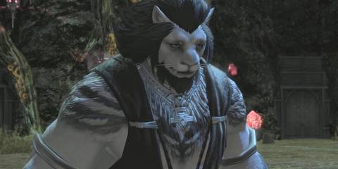 final fantasy 14 players point out problem with 725 armor