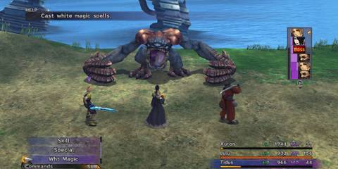 Fighting Chocobo Eater in Final Fantasy 10