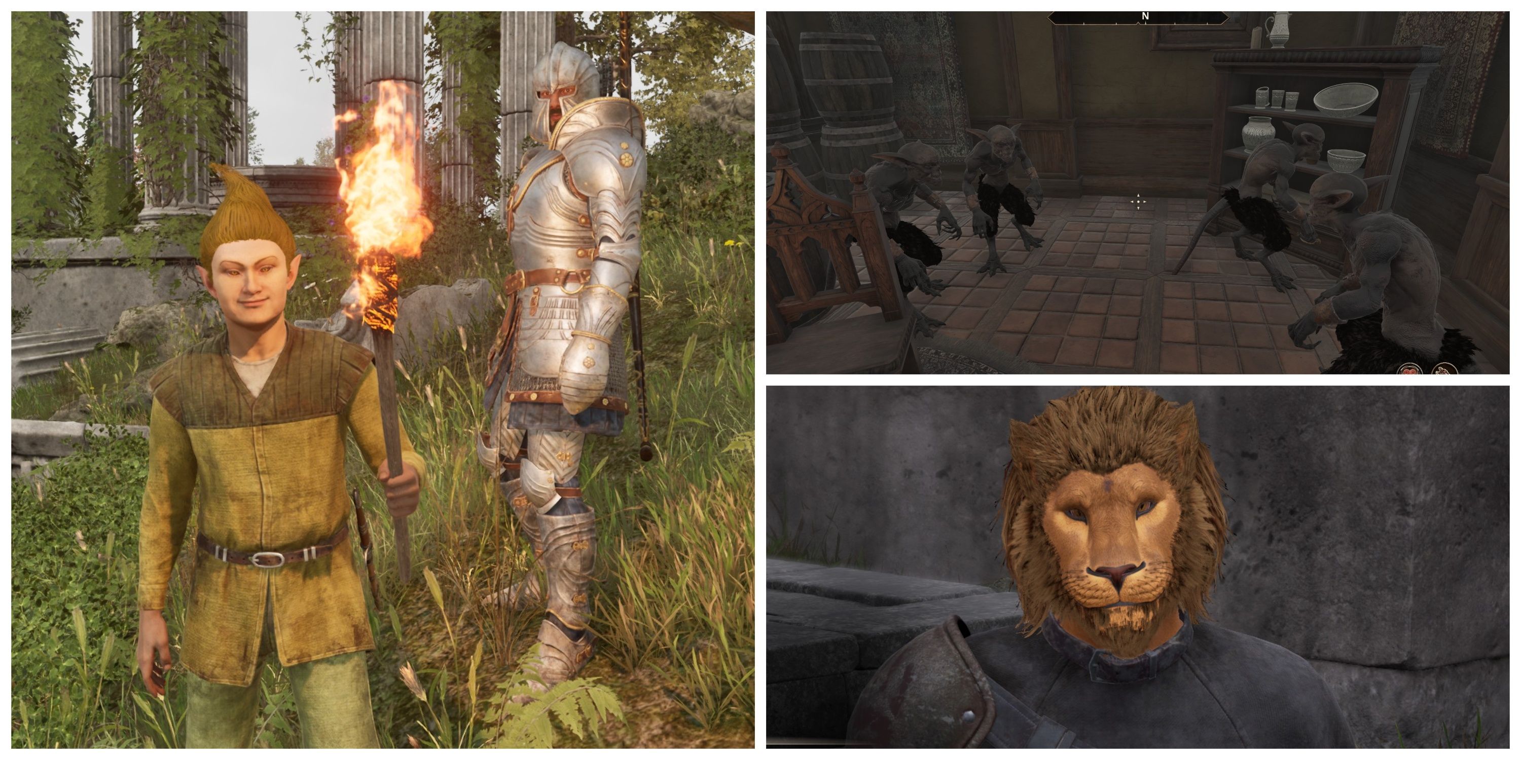 followers in oblivion remastered