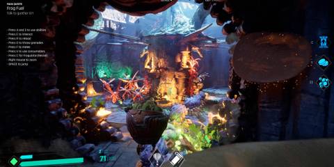 gang of frogs level 4