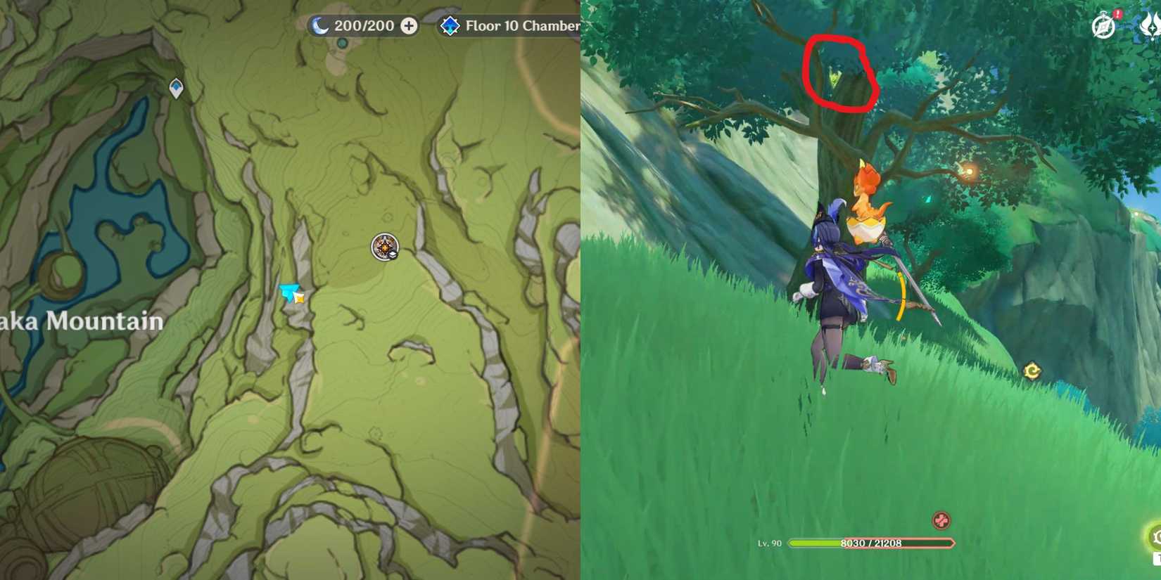 Genshin Impact - Ardravi Valley Dendroculus Location 7