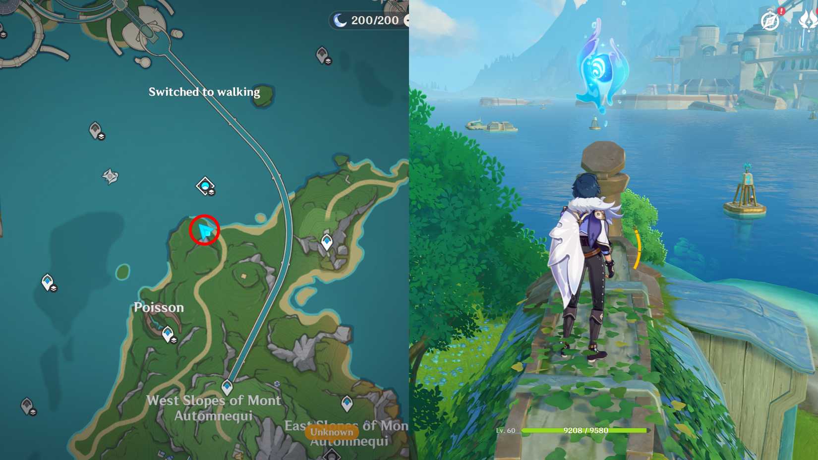 Genshin Impact Belleau Region Hydroculus Locations 15