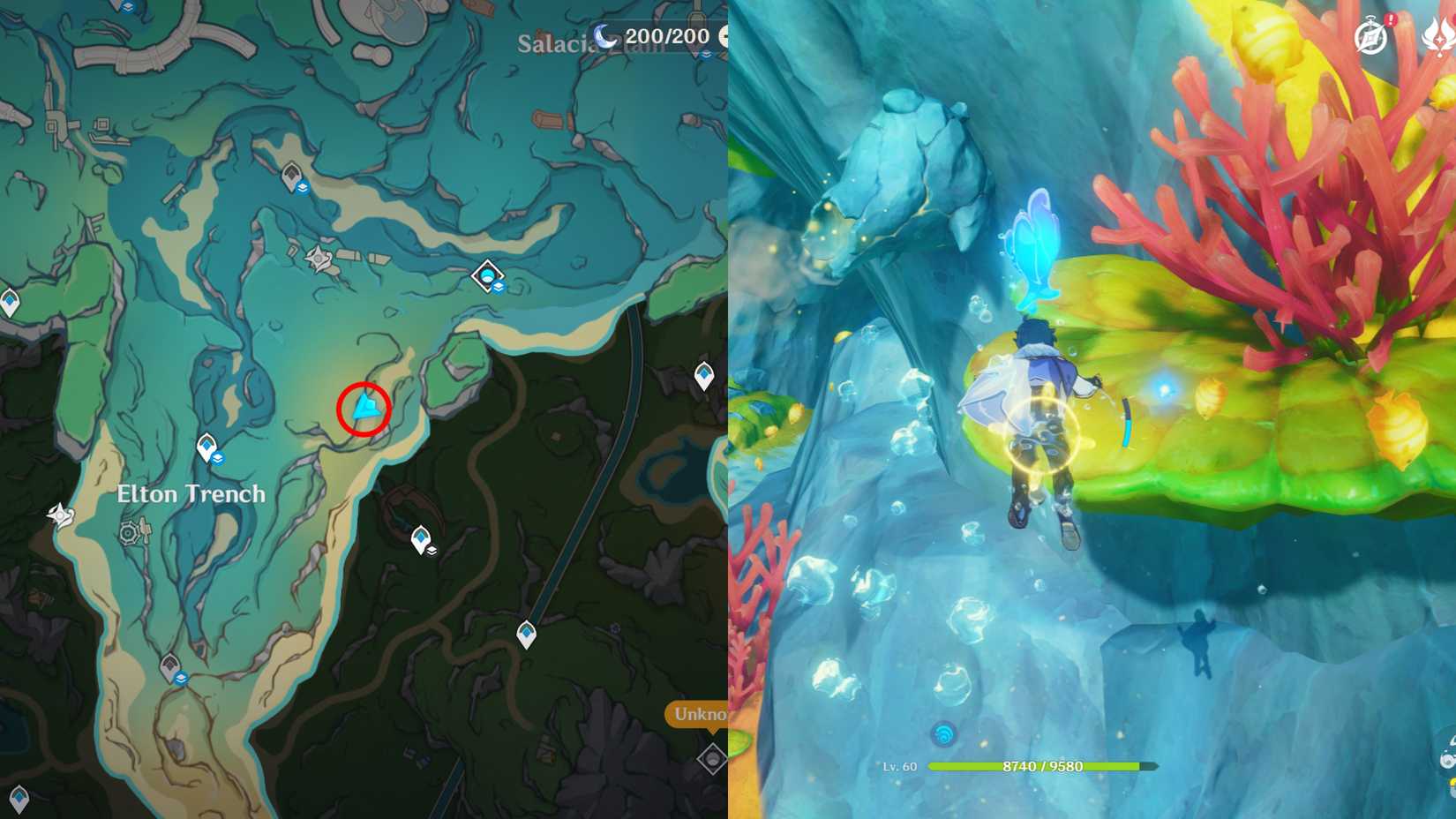 Genshin Impact Belleau Region Hydroculus Locations 16