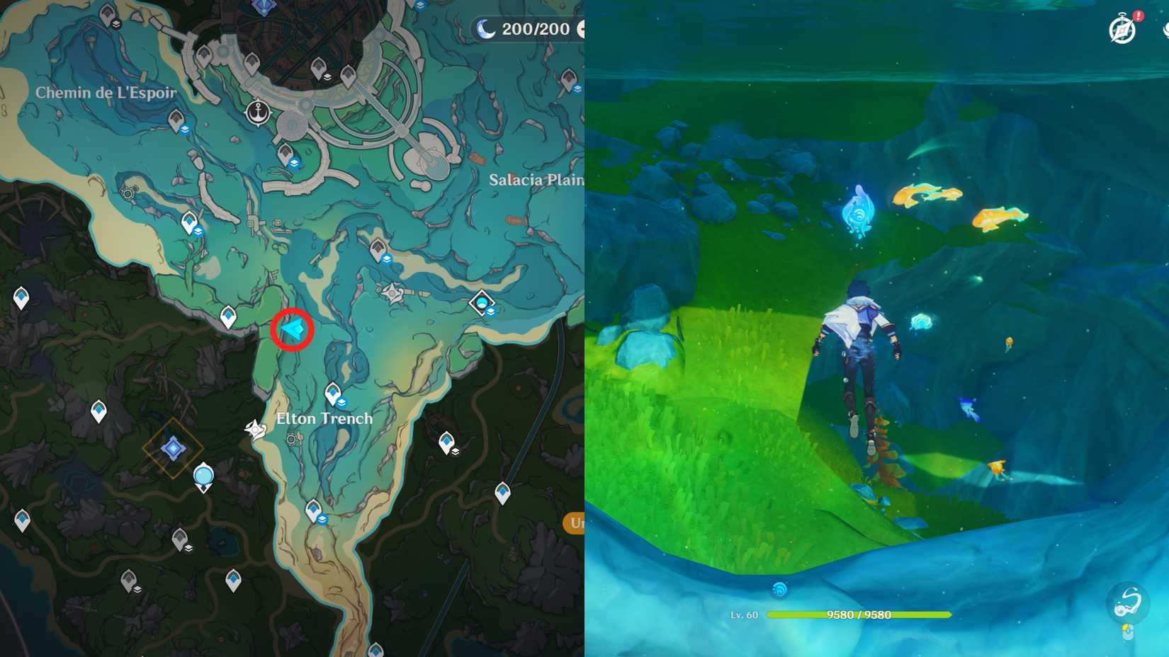 Genshin Impact Beryl Region Hydroculus Locations 21