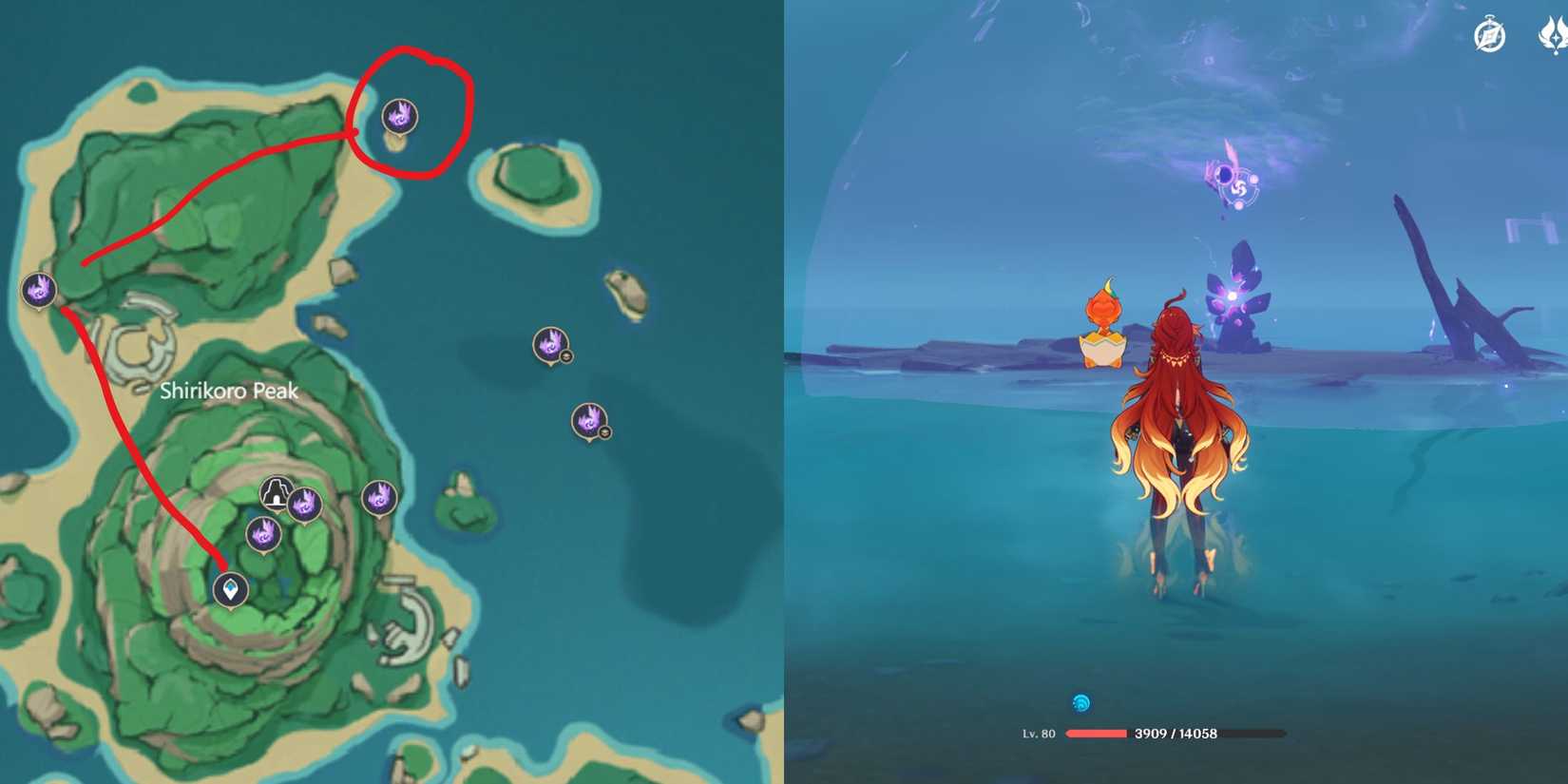 Genshin Impact- Tsurumi Island Electroculus Location 27