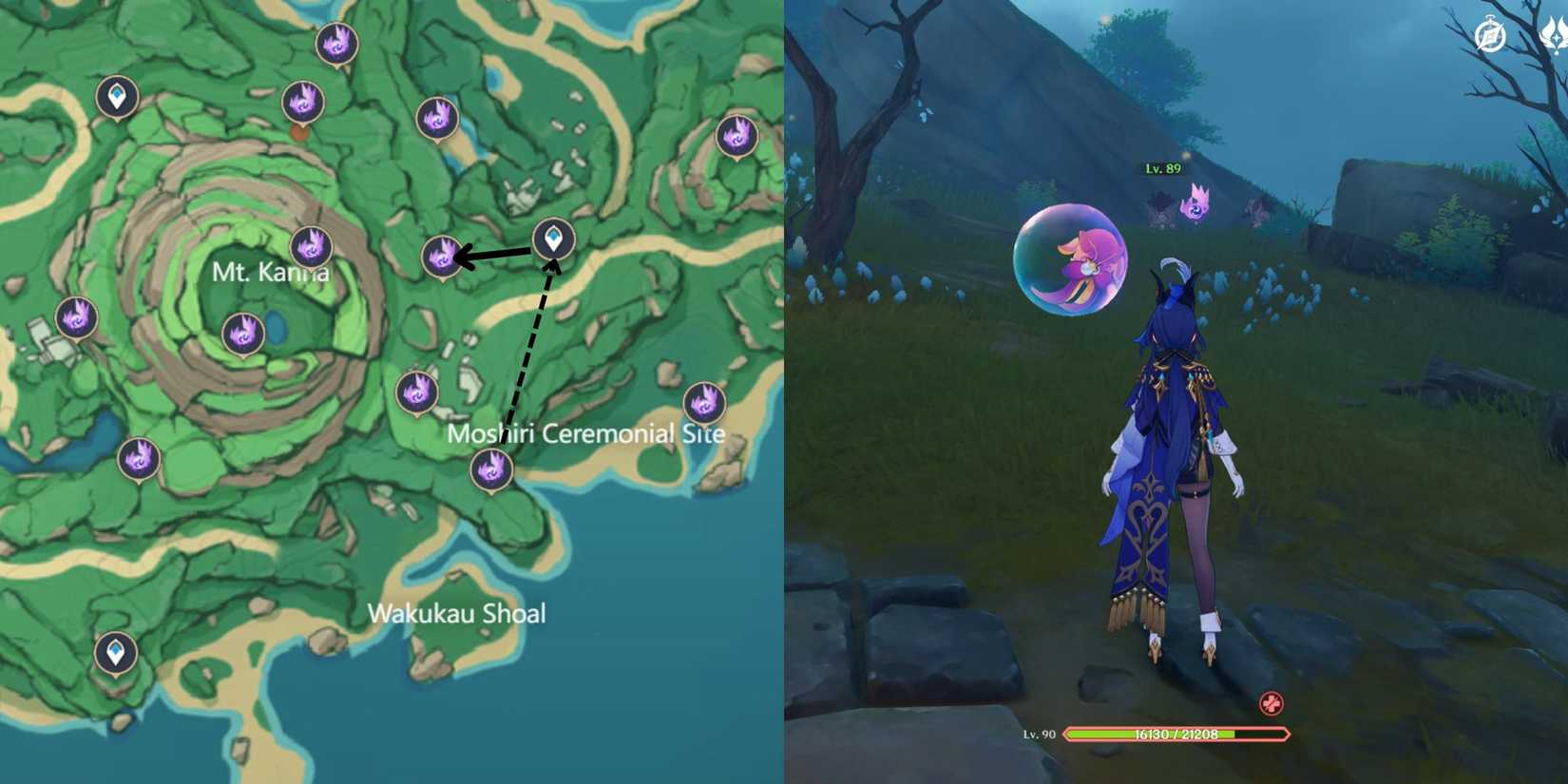 Genshin Impact- Tsurumi Island Electroculus Location 4