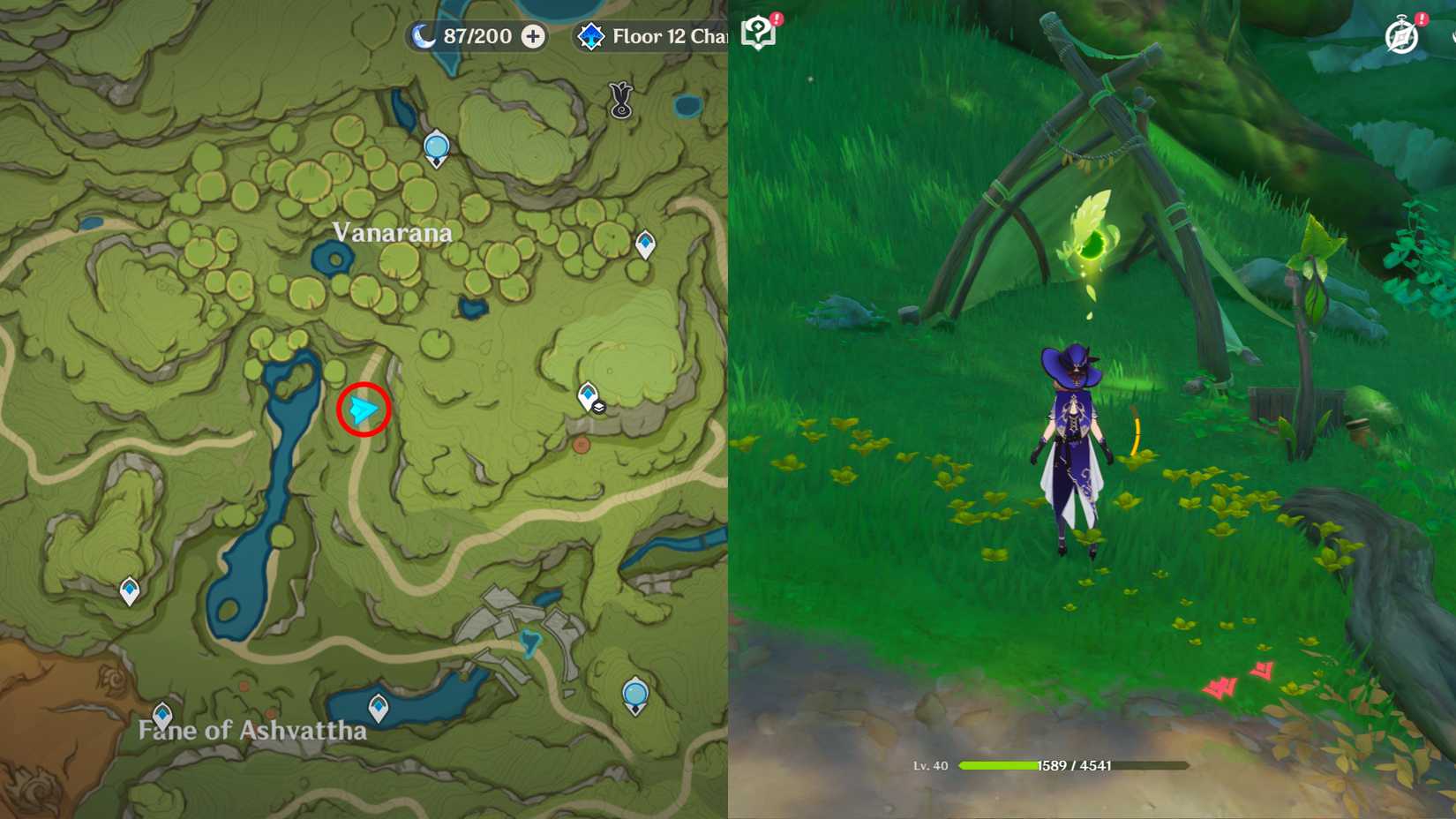 Genshin Impact Vissudha Field Dendroculus Locations 10