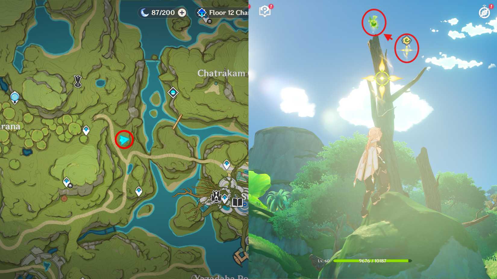 Genshin Impact Vissudha Field Dendroculus Locations 11