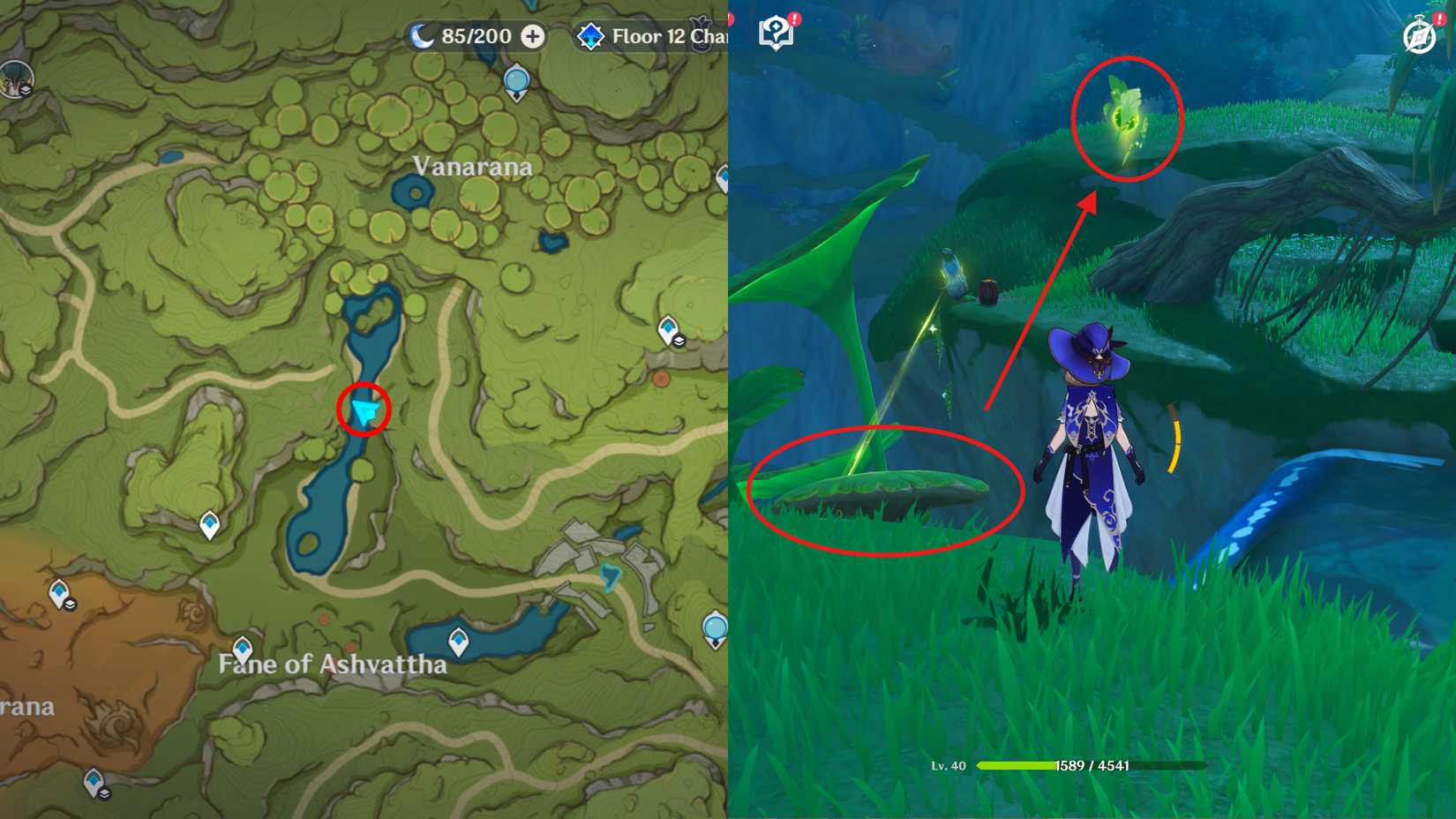 Genshin Impact Vissudha Field Dendroculus Locations 9