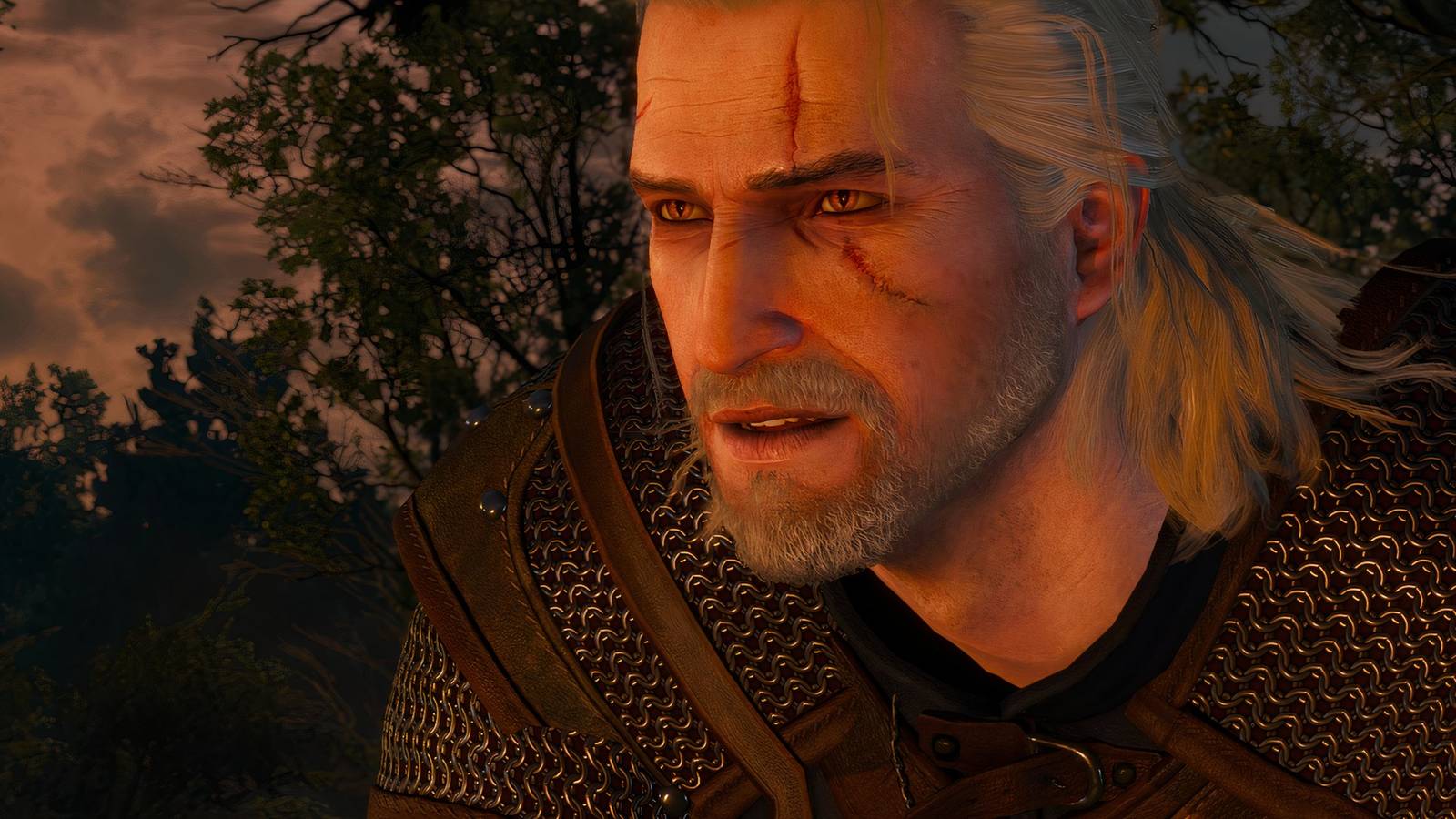 Geralt in The Witcher 3 Wild Hunt