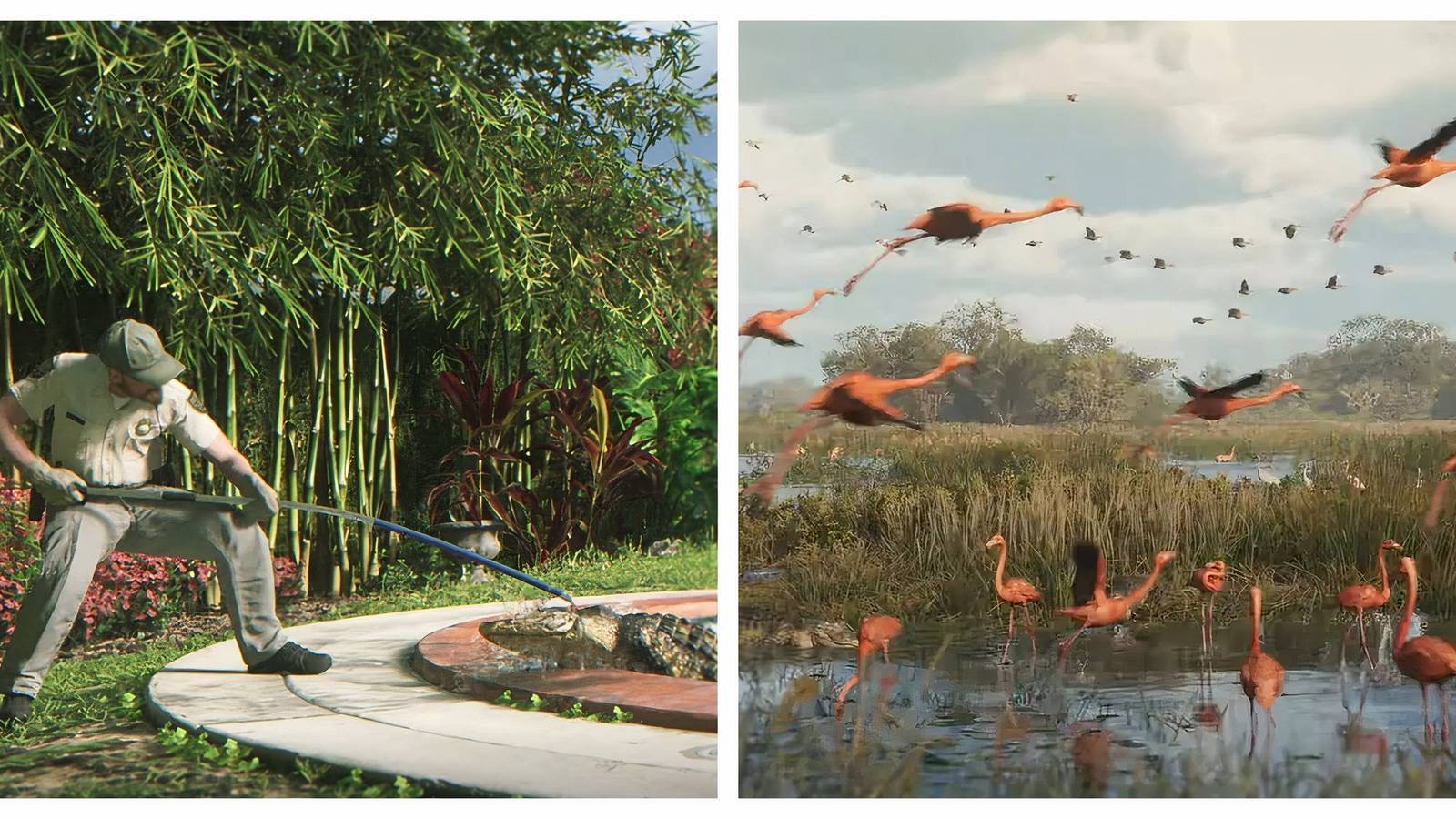 grand theft auto 6 Animals That Need To Be In The Game