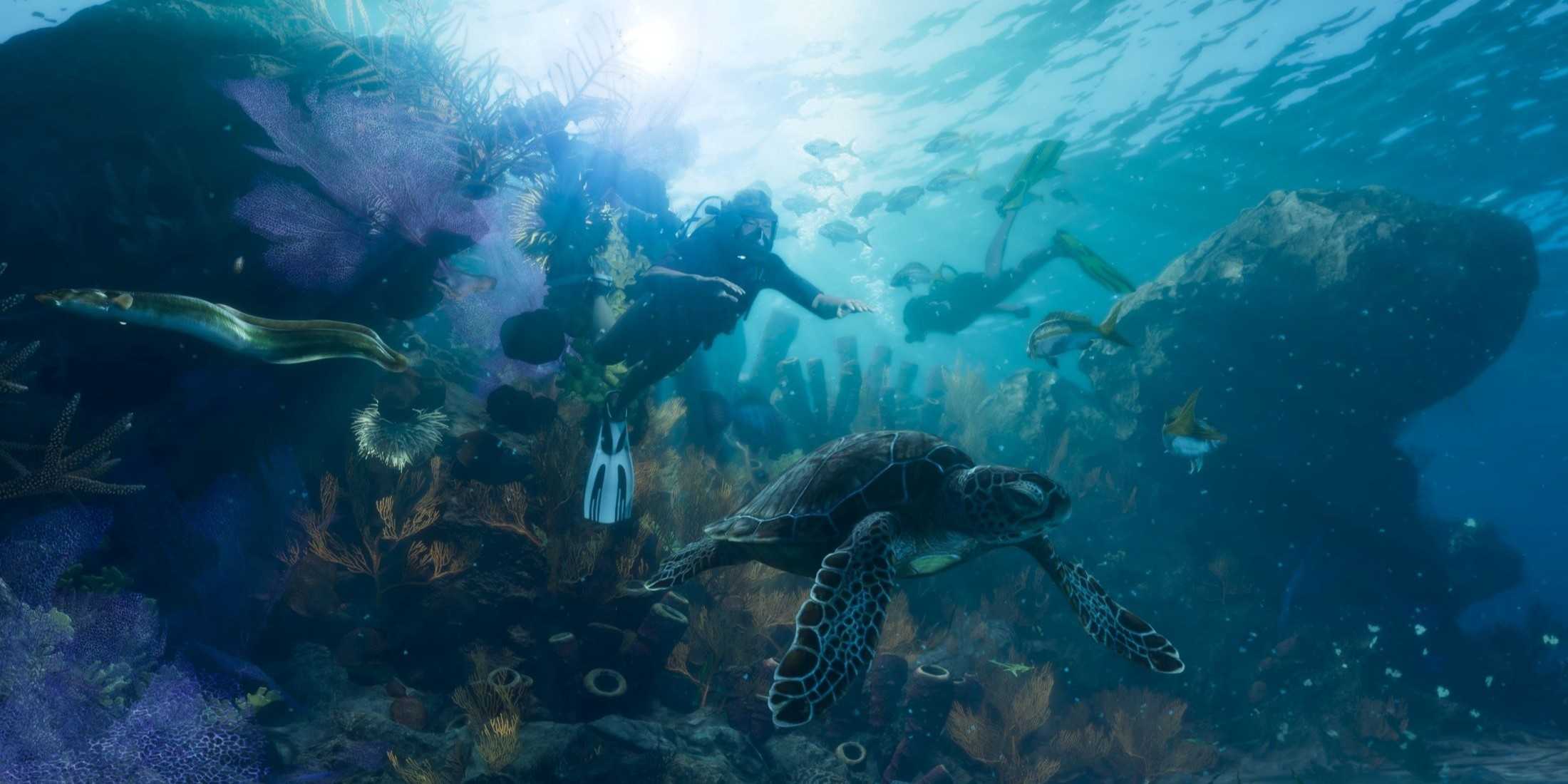 gta 6 leonida keys diving with turtle-1