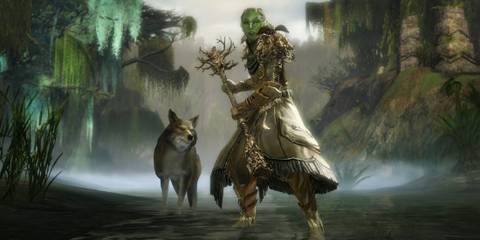 Guild Wars 2 character and a wolf