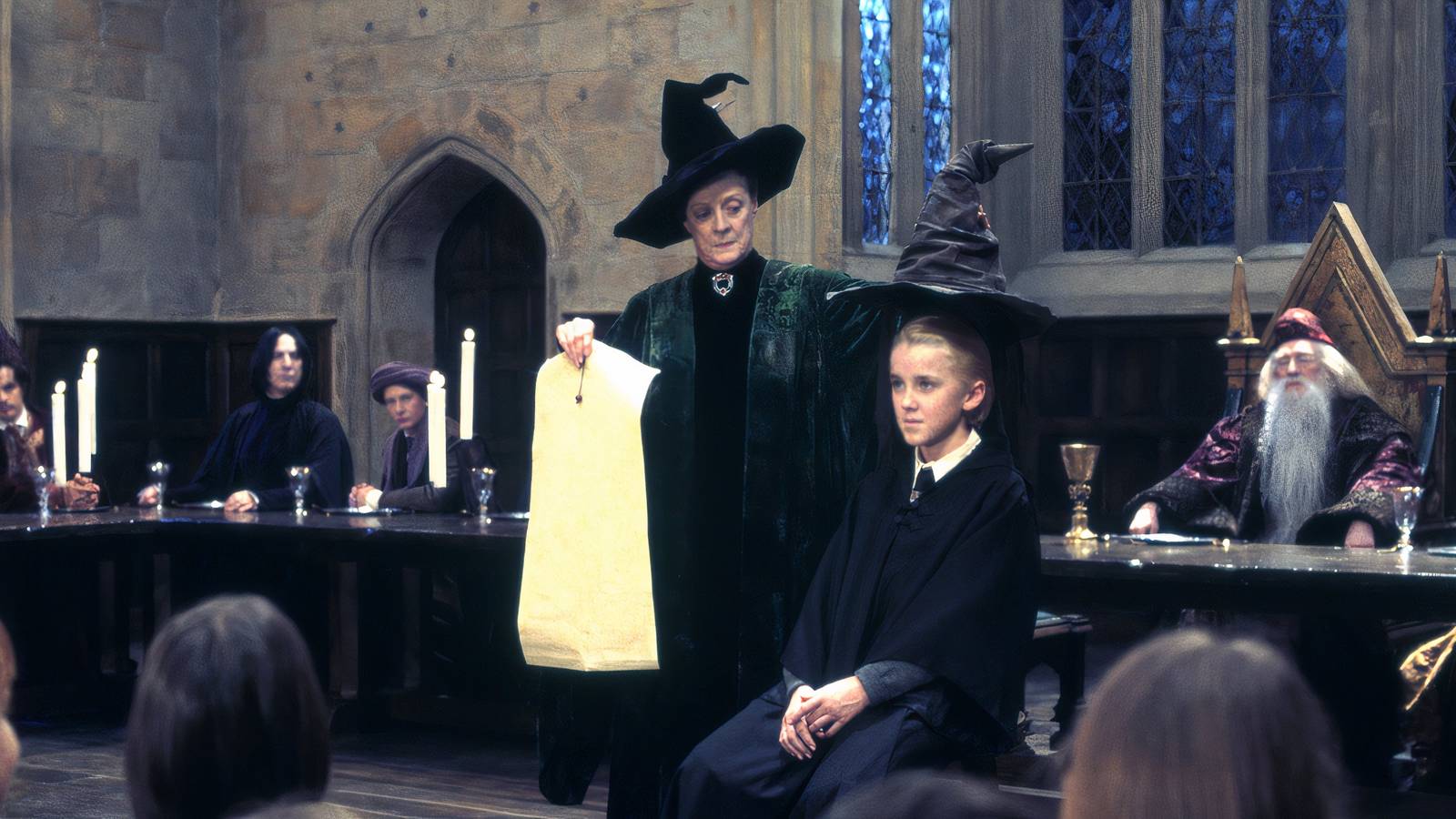 Harry Potter Sorting Hat 