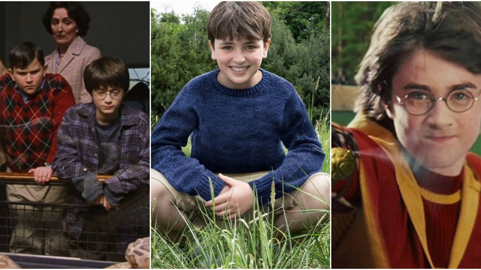 Harry Potter Things To Look Forward To In Season 1