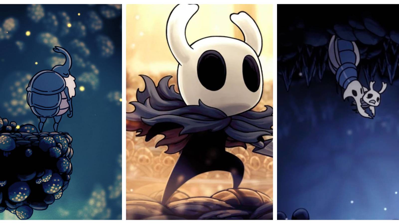Hollow Knight Player Choices