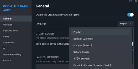 How To Change Language on Steam PC