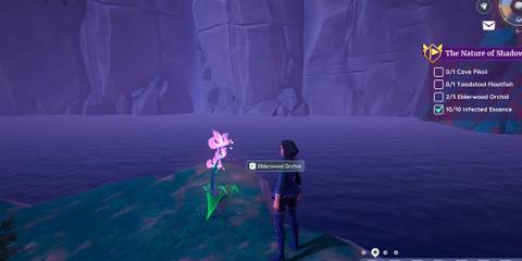 how to find elderwood orchid in palia
