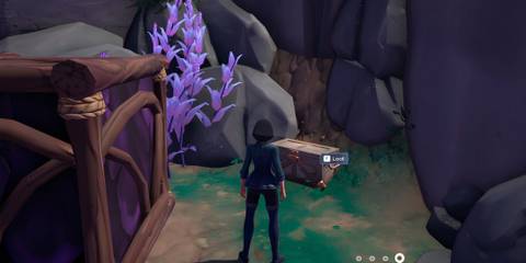 how to get all elderwood chests location in palia