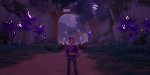 How to get to Elderwood in Palia