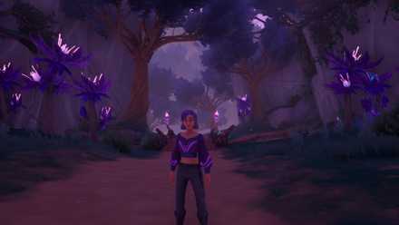 How to Get to Elderwood in Palia