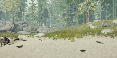 Isolated Beach - East