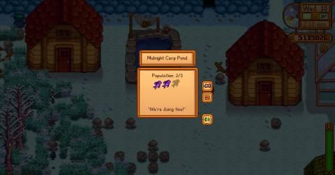 Midnight Carp Pond in Stardew Valley