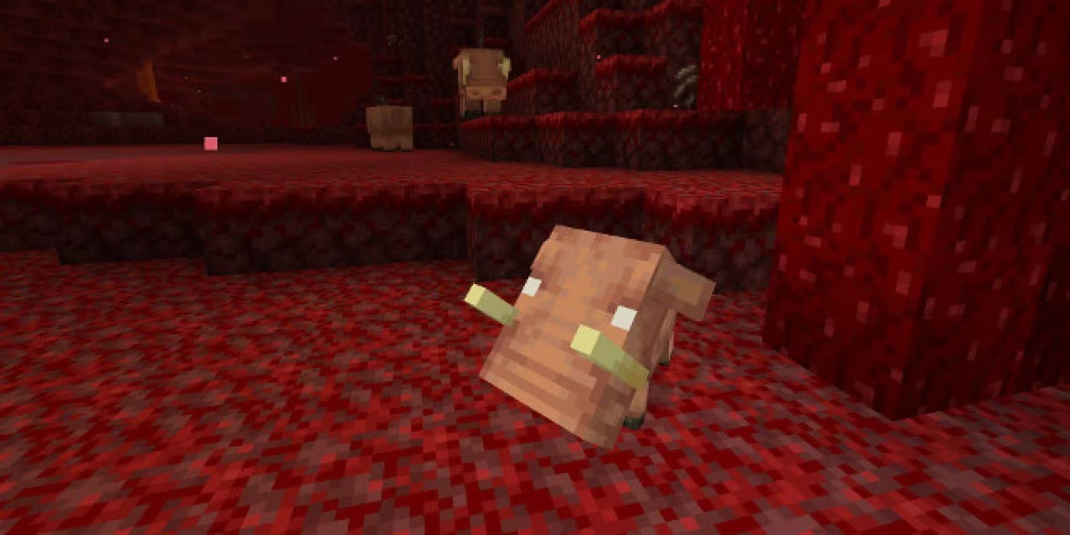 Minecraft's Happy Ghast May Have Opened the Floodgates for Unusual Mounts