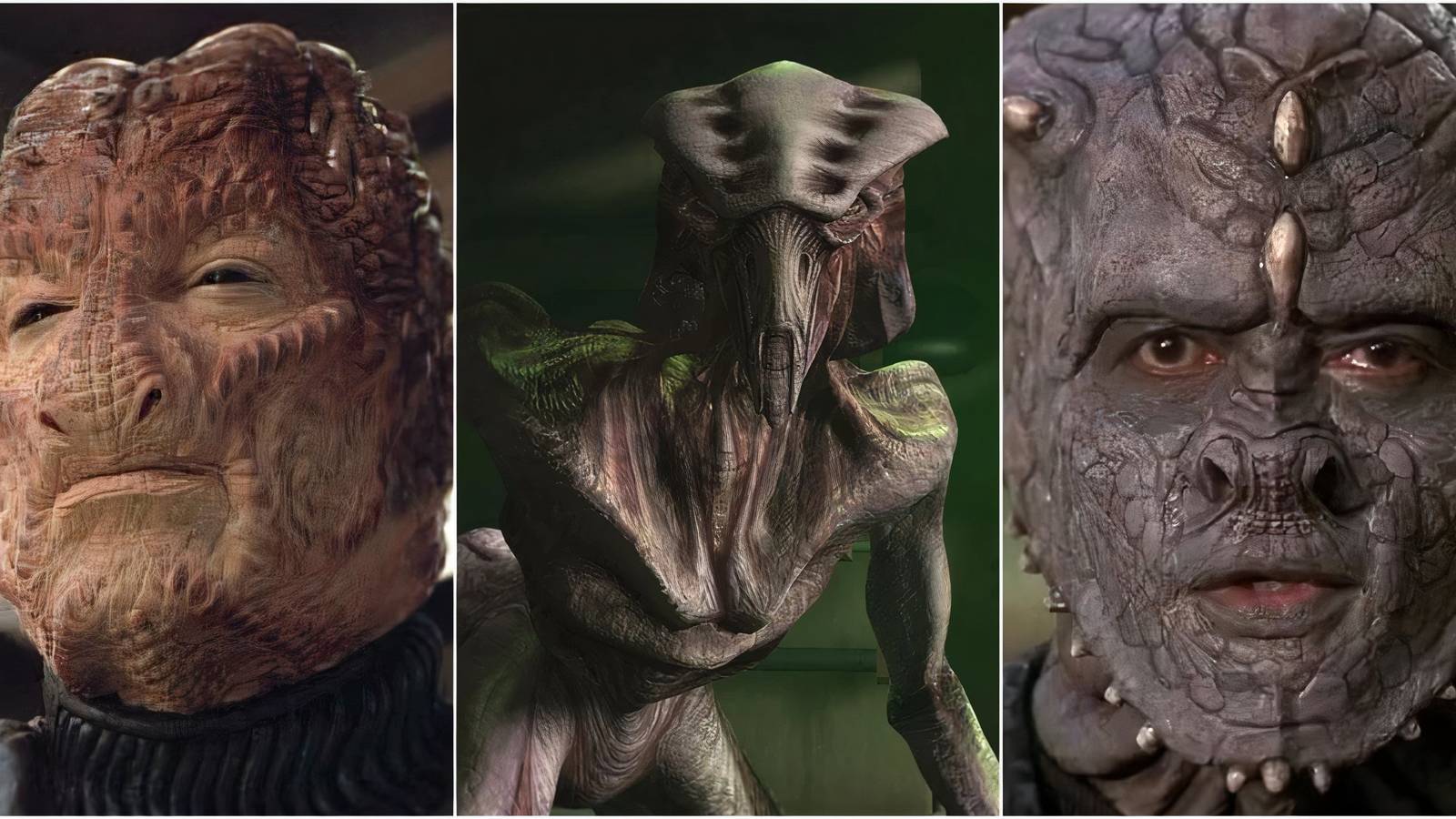 Hirogen, Species 8472, jem'hadar