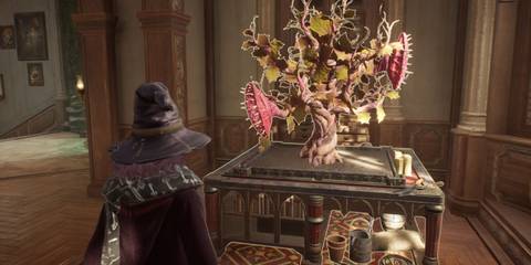 Gardening in Hogwarts Legacy